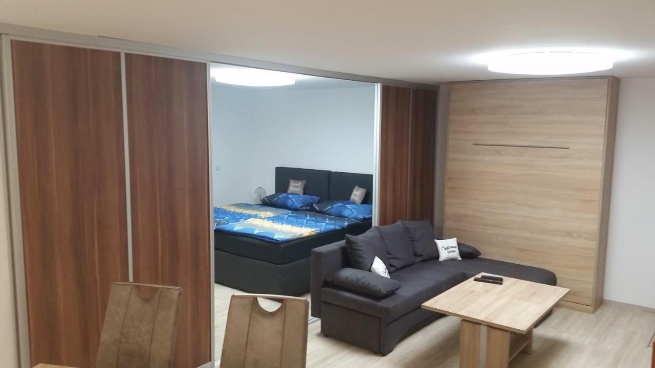 Ferienwohnung Sandra Hockenheim Buitenkant foto